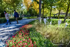 北京地坛公园边重开园外园，“一老一小”各有所乐图片