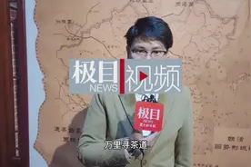 在湖北省赵李桥茶厂，与赤壁青砖茶来一次美丽邂逅图片