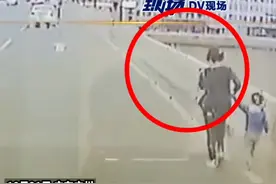 女子抱起孩子跳桥瞬间，公交司机一个拥抱救了两条命图片