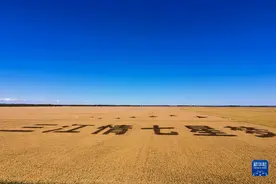 在希望的田野上——“东北粮仓”让“中国饭碗”端得更牢图片