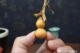 不是所有文玩葫芦，都叫“草里金”图片