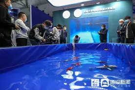 仿生鱼亮相世界工业设计大会 真假难辨狂吸睛图片