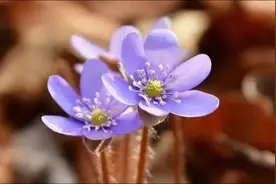 《朗读者》160句金句，句句经典，值得珍藏图片