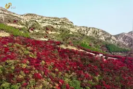 金秋时节好山东｜美如画！曾经落后的小山村如今展新颜图片