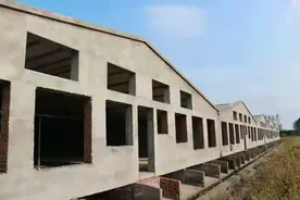 宝应：智能化猪场，一人可育肥3000头图片