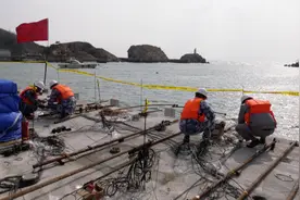 解放军首次进行码头爆炸毁伤试验引关注，台媒猜测：可能会被应用于反制美针对中国的“分布式作战”图片