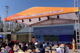 眼前是稻田，仰望是星空，去崇明这个稻米文化小镇搭帐篷，在稻香桂香中入眠图片