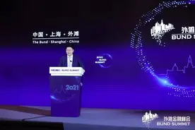 中投公司董事长彭纯：投资全球基础设施资产取得良好回报图片