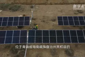 荒滩建起环保电站视频封面