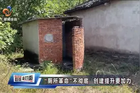 电视问政曝光：部分新建公厕脏乱差，有村庄生活污水直排塘堰图片