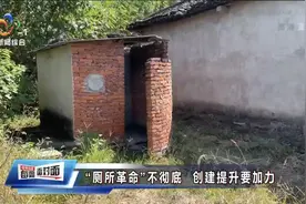 电视问政曝光：部分新建公厕脏乱差，有村庄生活污水直排塘堰图片