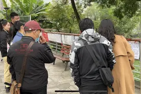 成都相亲大军转战天府三街 网友：还是熟悉的味道图片