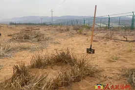 小小麦草方格背后，有一批根扎沙漠的“铁军”图片