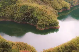 看看山，看看树，看看世界……时光停在山花烂漫的文成图片