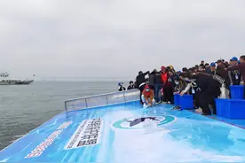 长江禁渔，鱼多了，但勿以单个物种数量论英雄图片