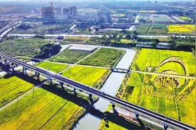 长三角奋进一体化图片