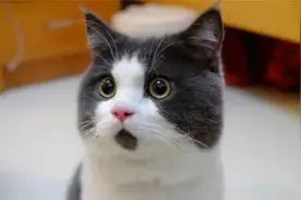 宁波30岁男子拎了下桶装水，瘫痪了！周杰伦、张嘉译也受它折磨！年轻男性警惕……图片