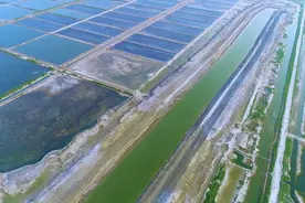 黄三角农高区：探索荒碱地治理新技术的天然本底试验场视频封面