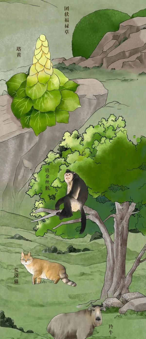 长知识！中国珍稀动植物你能认全吗？随手收藏给孩子