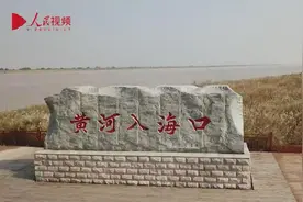 总书记刚刚来过这里丨“端稳中国粮，盐碱地大有可为！”图片