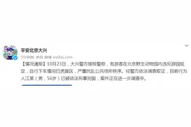北京大兴警方通报：挑衅白虎游客被刑拘图片