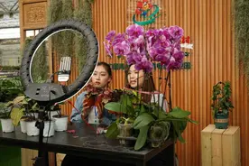 青州：高质量协调发展的县域样本图片