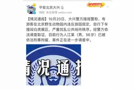 警方最新通报：北京野生动物园挑衅白虎游客已被刑拘图片