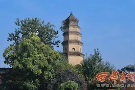 西安书院门宝庆寺古塔塔身长树 恐对古塔保护不利亟需处理图片