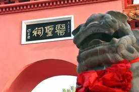 医圣故里续写仲景“传奇”南阳推进中医药高质量发展图片