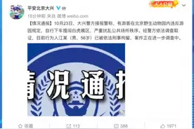 那个和11只老虎对峙的游客，已刑拘图片