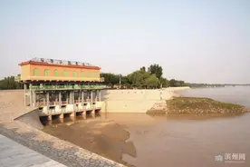 全国第一个引黄生态灌区｜小开河——一条流向人民心中的河图片