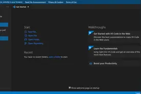 微软发布轻量级 VS Code 工具，可完全在浏览器中运行图片