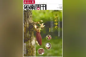 可可传奇——从偶然落户到名扬全球，海南可可“傲”然甜蜜图片