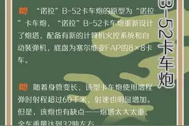 图解｜卡车炮成“新宠”！为何说这三款最有代表性？图片