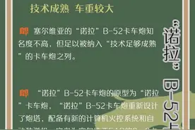 图解｜卡车炮成“新宠”！为何说这三款最有代表性？图片