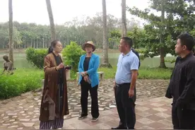 海口琼山区将打造三门坡荔枝风情小镇图片