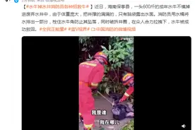水牛掉水井消防员各种招救牛图片