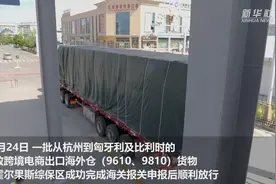 新疆霍尔果斯跨境电商贸易额突破10亿元视频封面