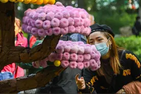既呆萌又艳丽，还蕴藏高科技，上海首次展出图片