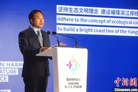 2021南京和平论坛：当橄榄枝与和平鸽不仅只是和平的象征图片