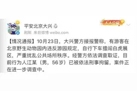游客擅自下车当面挑衅11只白虎 更多细节曝光：草坪藏着电草图片