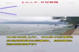 今天 100多只红嘴鸥在海埂公园靠岸！昆明开启观鸥季图片