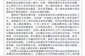 闯入展区与虎群对峙，漠视规则的病得好好治丨人民锐见图片
