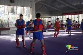 传承精武文化 用“功夫”讲中国故事图片
