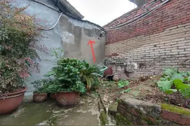 同意邻居“修墙防盗”结果自家无法出门？北京上班族在川老宅遭遇邻居占通道“封门”修房图片