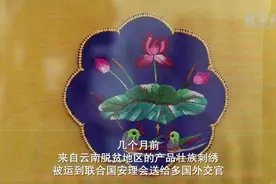 壮族刺绣背后的故事：从中国边疆走向联合国视频封面
