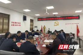 施亚雄到湘西州开展服务农村基层社会治理国家级试点验收图片