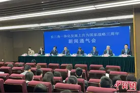 长三角一体化三周年 119项政务服务在41城实现跨省市通办图片