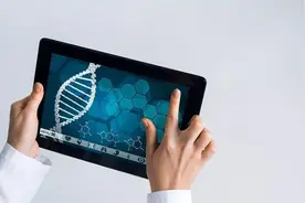 在无创DNA（NIPT）时代还需要做NT吗？图片