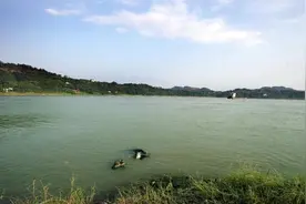 永川朱沱：长江重庆首段大保护初见成效图片
